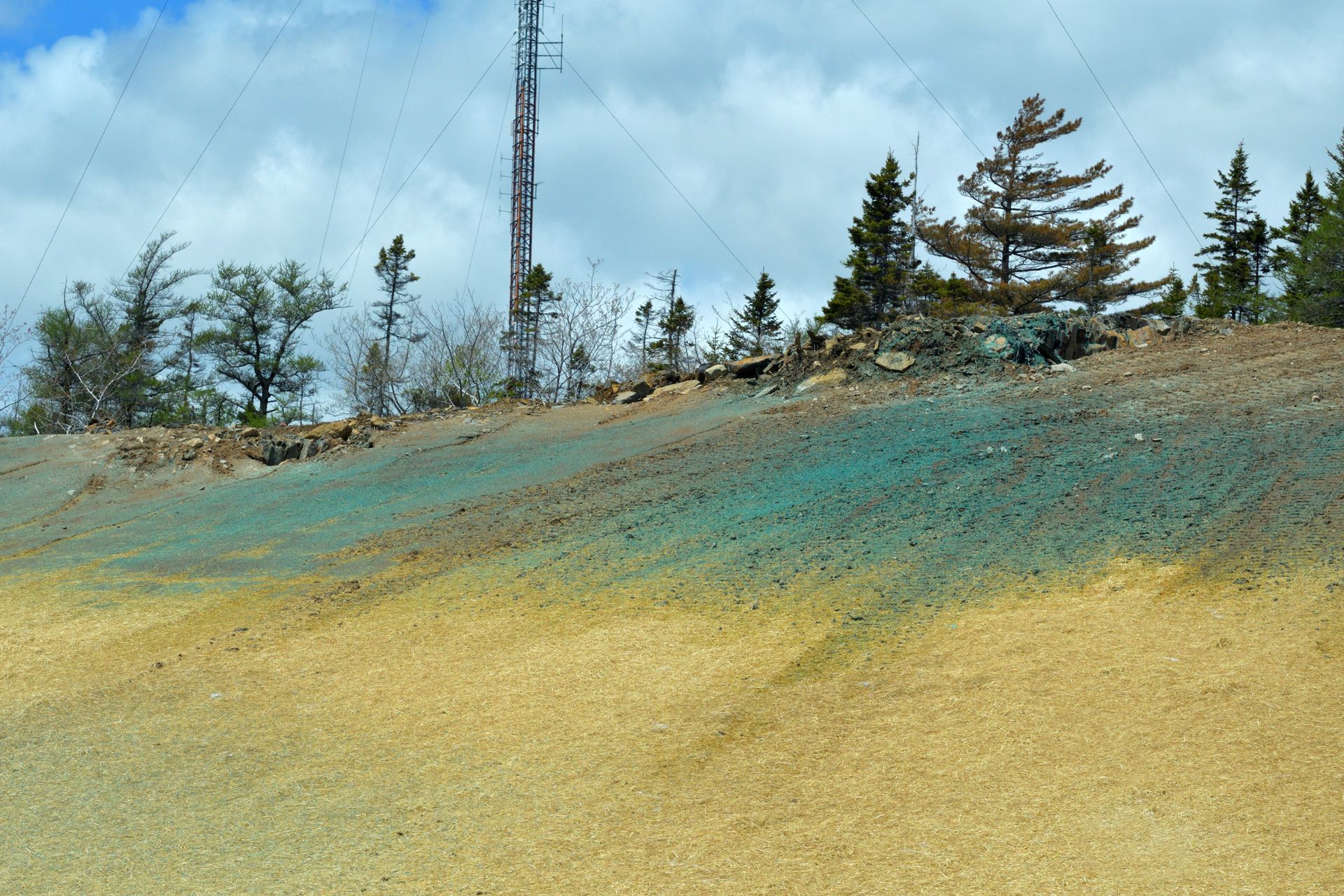 Advanced Erosion Solutions LLC